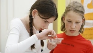 Science Fair: Jungforscher präsentieren ihre Ideen und Arbeiten.