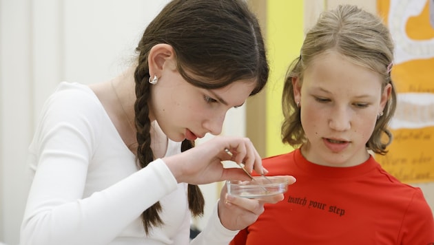 Science Fair: Young researchers present their ideas and work. (Bild: Groh Klemens)