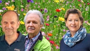 Zwei von vielen: Werner Holzinger (Uni Graz, li.) und Johannes Gepp (Naturschutzbund) üben offen Kritik an LR Ursula Lackner und ihrem Nein zum Renaturierungsgesetz. (Bild: Krone KREATIV/ Gabriela Heimhofer, Christian Jauschowetz, Land Stmk./Purgstaller, Stefan Janisch)