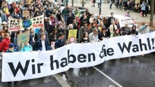 Klimastreik am Freitag in Wien (Bild: APA/Florian Wieser)