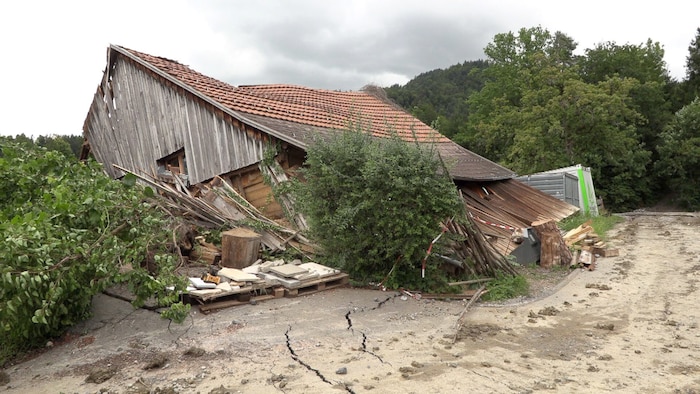 Der Hörbranzer Erdrutschhang bewegt sich wieder.