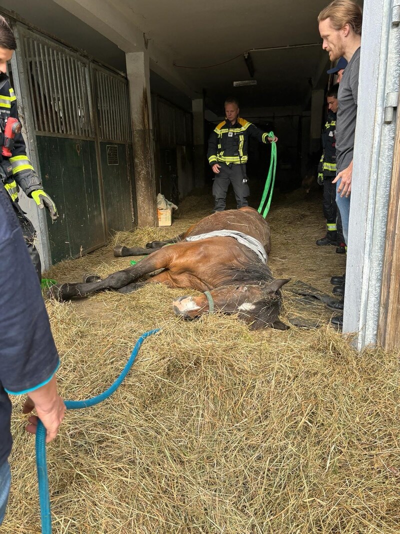 (Bild: Berufsfeuerwehr Klagenfurt)