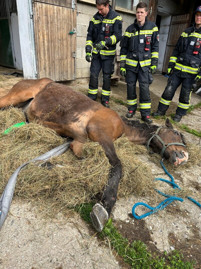 (Bild: Berufsfeuerwehr Klagenfurt)