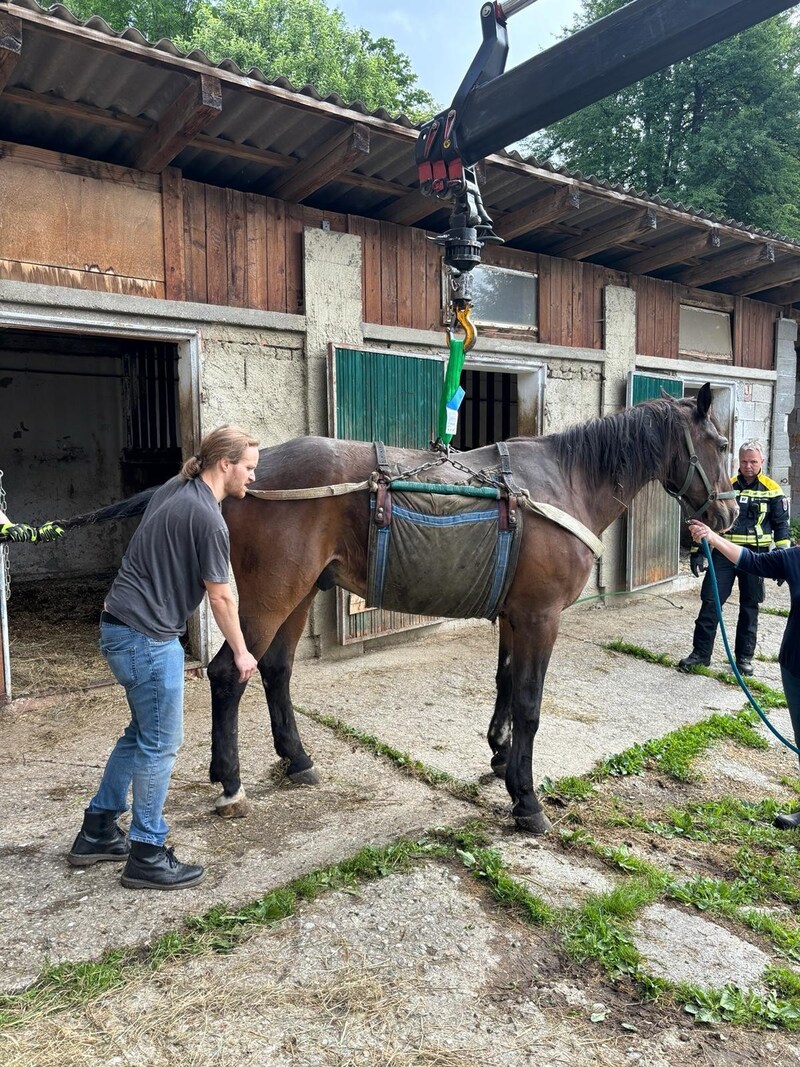 (Bild: Berufsfeuerwehr Klagenfurt)