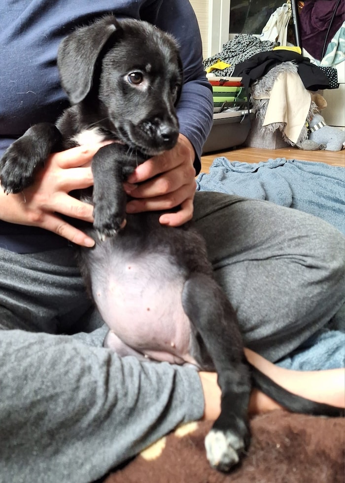 Die kleine „Paula“ kuschelt gerne. 