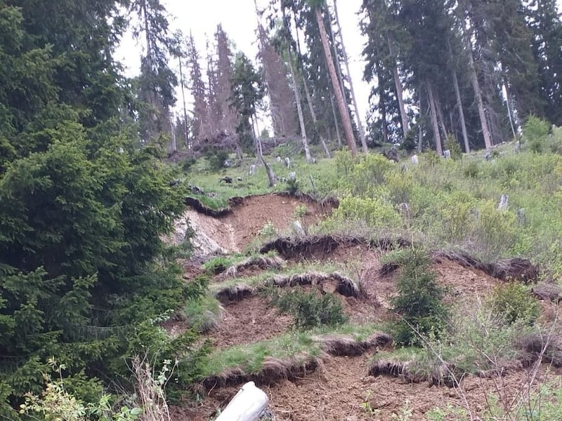 Around 2000 cubic meters of earth started to move. (Bild: Gemeinde Außervillgraten)