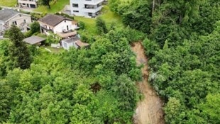 Der Erdrutschhang in Bildstein nahe dem Siedlungsgebiet.