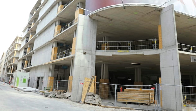 Die „Lamarr“-Ruine in Wien (Bild: Jöchl Martin)