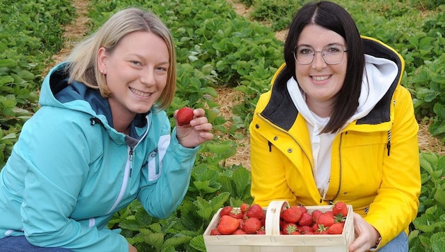 Theresia and Julia were on the lookout for something healthy for the body, but also something beneficial in terms of emotions. (Bild: Crepaz Franz)