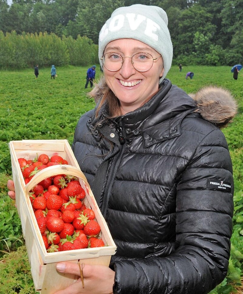 As a farmer, horse trainer Elisabeth from Mank (Melk district) is used to working in the fields. (Bild: Crepaz Franz)