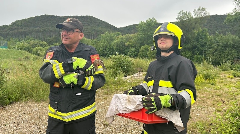 In St. Veit brachten die Feuerwehrleute die Entenmutter mit ihren Jungen zur Triesting. (Bild: FF St.Veit)