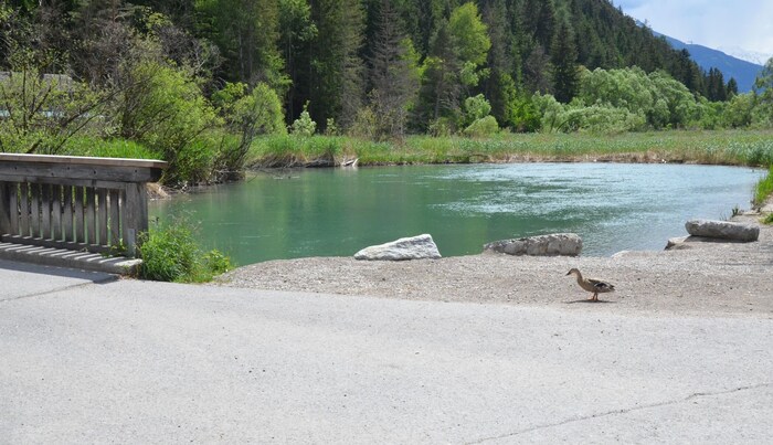 Die Wasserfläche dieses neu entstandenen Stausees war früher völlig verbuscht. Hier wurde ...