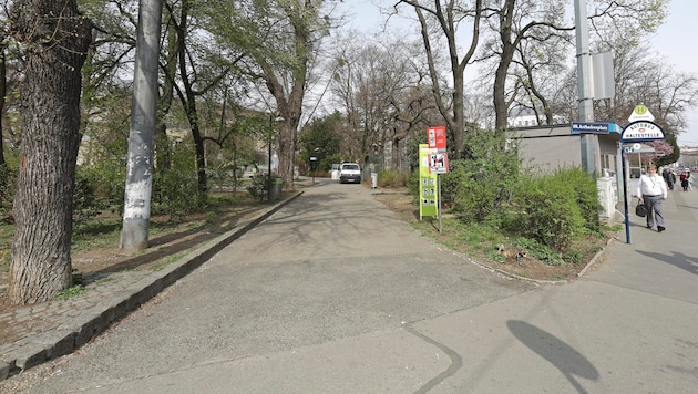 Bu kez polis Arthaberpark'a gitmek zorunda kaldı. Bir adam kanlar içinde yerde yatıyordu ve o zamandan beri yaşam mücadelesi veriyordu. (Bild: Gerhard Bartel)