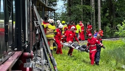 Auch im Freilichtmuseum gab es einen Übungsfall. (Bild: Rotes Kreuz Salzburg)