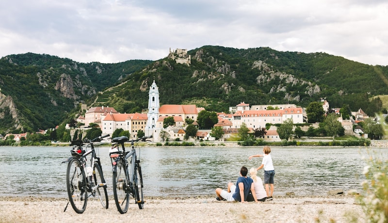 Radtouristen genießen den Blick vom anderen Donauufer (Bild: Stefan Fuertbauer)