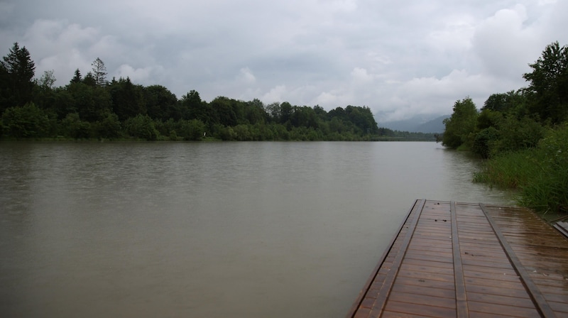 The Salzach in Hallein-Rif: the water levels are high, but there is no threat of flooding. (Bild: Tröster Andreas)