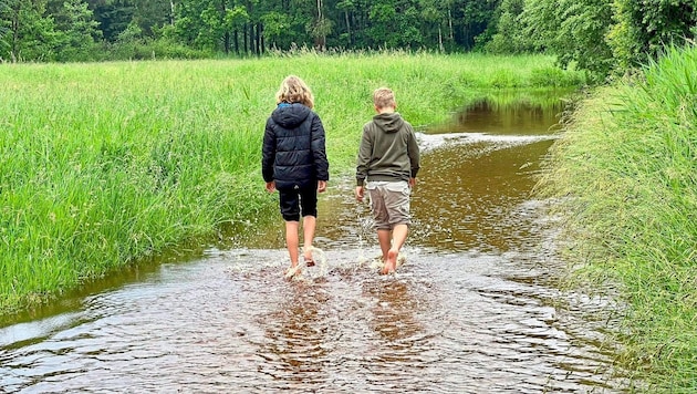 Überflutete Wege in Bürmoos (Bild: Markus Tschepp)