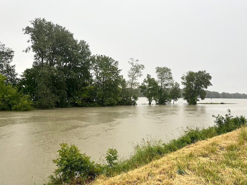 A Duna hétfőn Bécs közelében is jelentősen megduzzadt. (Bild: Leserreporter)