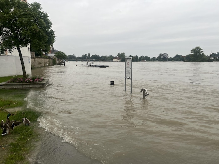 In Schärding wurde die Innlände überflutet.