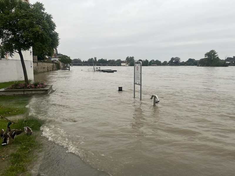 In Schärding wurde die Innlände überflutet. (Bild: FF Schärding)