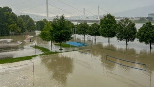 Hochwasser entlang der Donau sind keine Seltenheit. (Bild: Dostal Harald)