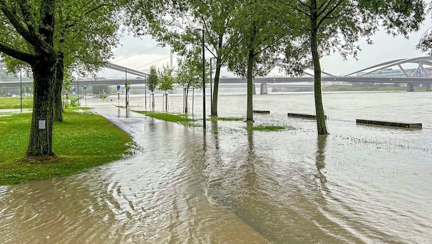 Linzben a Duna már átszakította a partjait. A vízszint a nap folyamán várhatóan tovább emelkedik. (Bild: Dostal Harald)