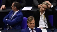 Die deutsche AfD befindet sich im Umfragetief (Bild: AFP)