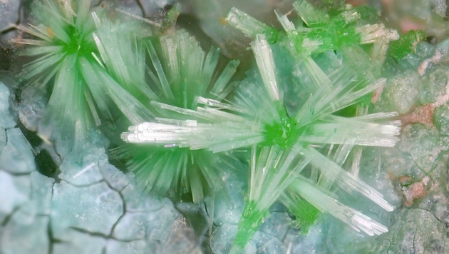 The mineral heimite (image) owes its discovery to the corona lockdown. (Bild: SCNAT/Remo Zanelli)