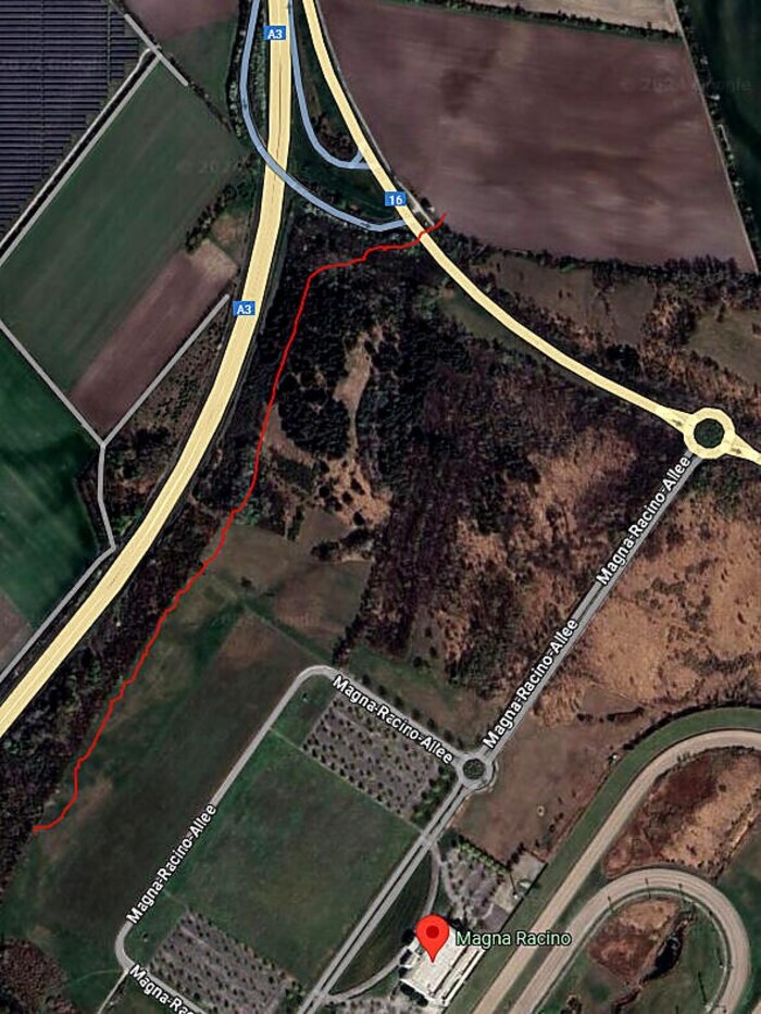Der Fußweg zum Parkplatz P2 führte durch ein Waldstück und dauerte rund 70 Minuten.