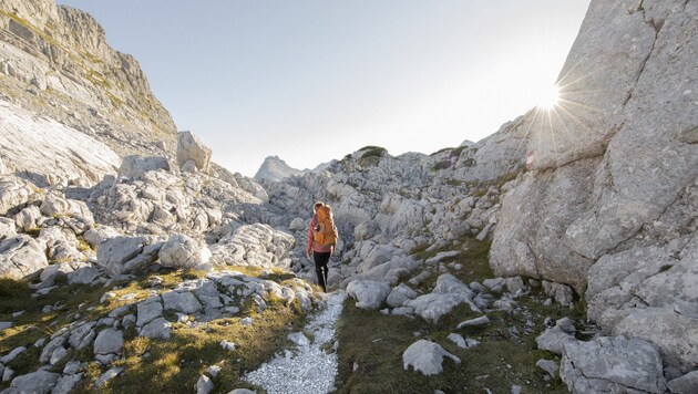 The trail runs along marked paths and climbs. (Bild: Mirjana Vrbaski)