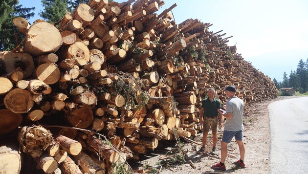 Waldaufseher Hannes Wildauer und „Krone“-Redakteur Andreas Moser bei einem der provisorischen ...
