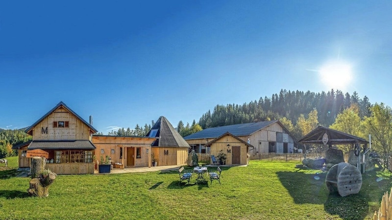 Urlaub mit dem eigenen Pferd – die Moser Alm bietet Quartier für Pferd und Reiter. (Bild: Moser Alm)