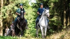 Auf dem Pferderücken durch die Natur. 700 Kilometer umfasst das Reitwegenetz im Mühlviertel. (Bild: Pferdereich Mühlviertler Alm/Hermann Erber)