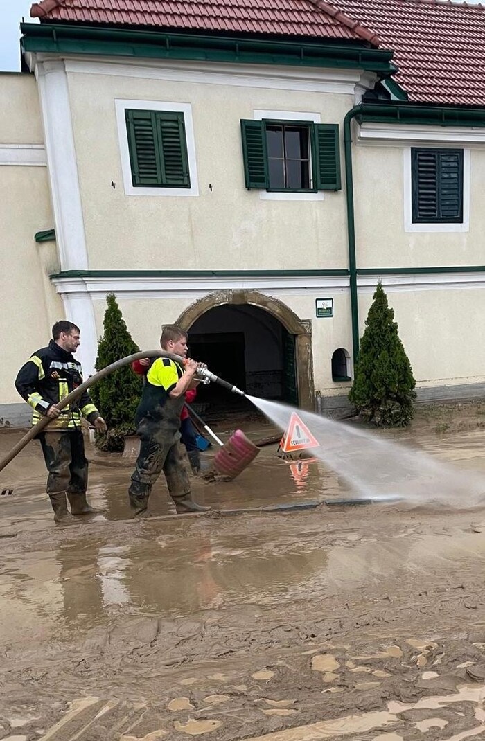 Pölten'e bağlı Herzogenburg-Stadt'ta 19 operasyon gerçekleştirilmiştir.