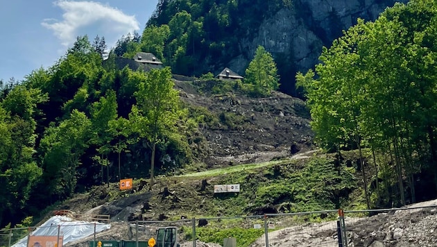 Der gesamte Hang unterhalb der Festung wurde für den neuen Besucherweg gerodet. (Bild: zVg)