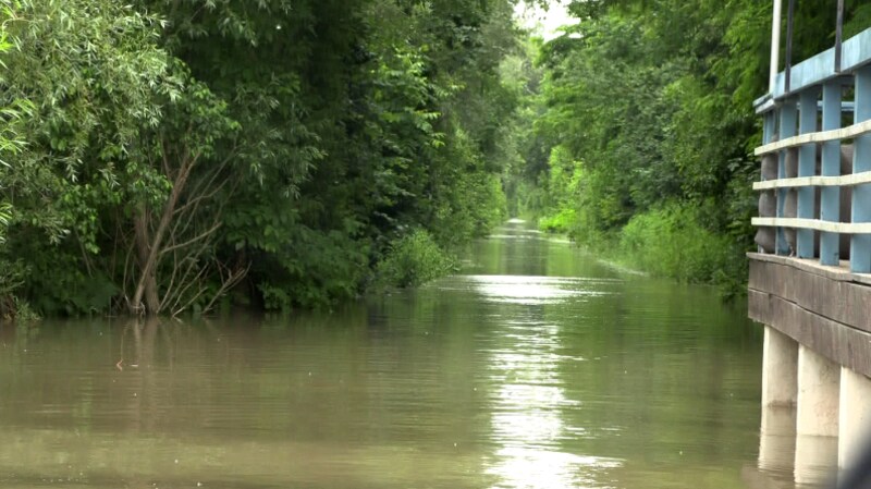 Das Strombad in Kritzendorf steht unter Wasser. (Bild: krone.tv)