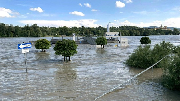 Flooding in Emmersdorf on the Danube in Lower Austria (Bild: SOPHIA KILLINGER)