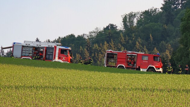 Feuerwehrleute bargen den schwer Verletzten aus dem Wrack