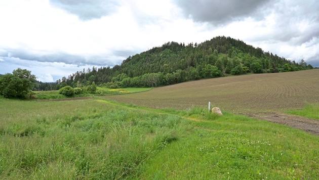 Wenn es nach der Dolomit Eberstein Neuper GmbH geht, soll hier ein Steinbruch entstehen 
