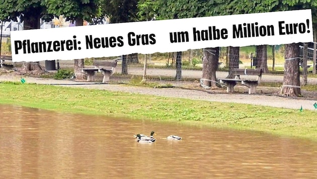 Anstelle der fertigen Wiese  hat sich ein kleiner See in der Mitte des Augartens gebildet.  (Bild: Krone KREATIV/zVg)