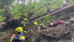 Der 30-Jährige wurde vom Baum getroffen. (Bild: Feuerwehr St. Gallen)