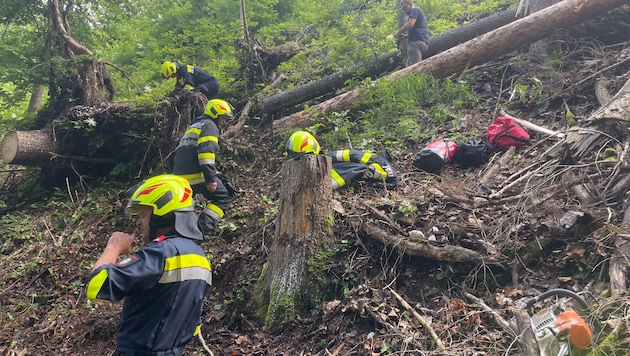 Der 30-Jährige wurde vom Baum getroffen. (Bild: Feuerwehr St. Gallen)