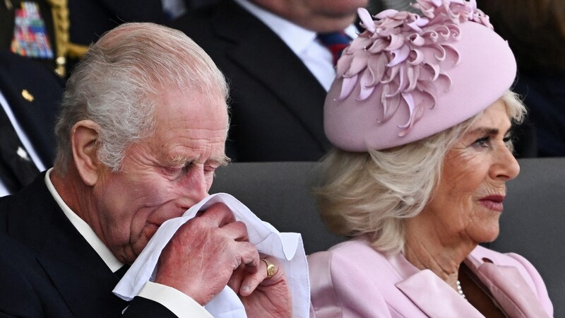 The King even had to reach for a handkerchief. (Bild: APA/AFP/POOL/Dylan Martinez)