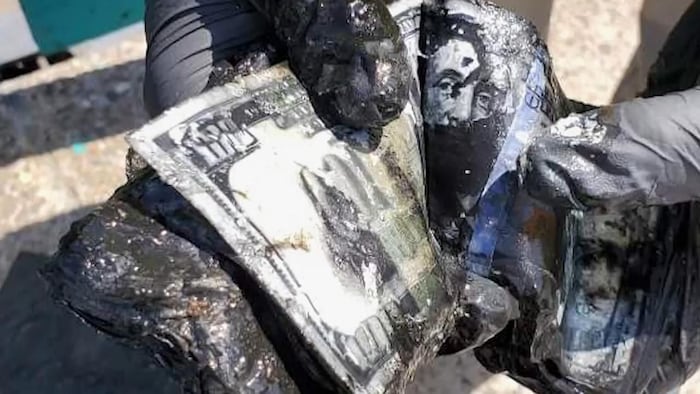 A couple found around 100,000 US dollars in bills in a rusty and completely muddy safe.