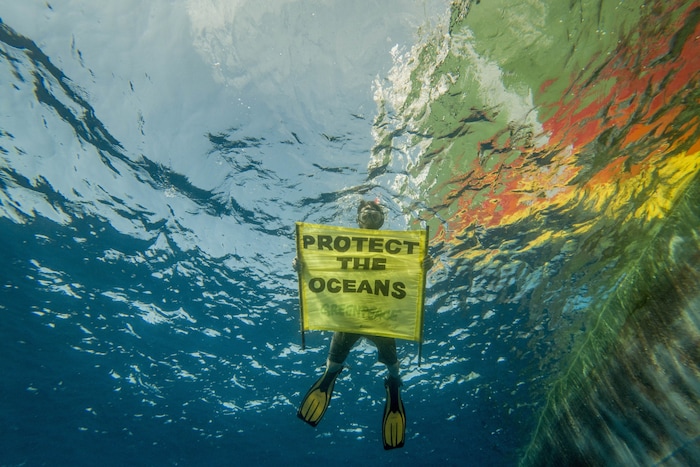 An enormous part of the "blue treasure chest" is still a huge secret for humans - effective ...