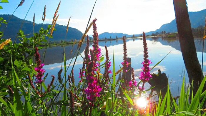Klagenfurt hat auch das geschützte das Natura 2000-Gebiet.