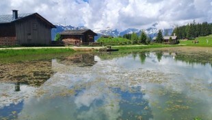Der Fritzensee ist ein landschaftliches Juwel: Hier lässt sich die Schönheit der Natur in vollen ...