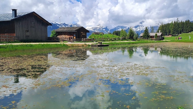 Der Fritzensee ist ein landschaftliches Juwel: Hier lässt sich die Schönheit der Natur in vollen Zügen erfahren. (Bild: Bergauer Rubina)