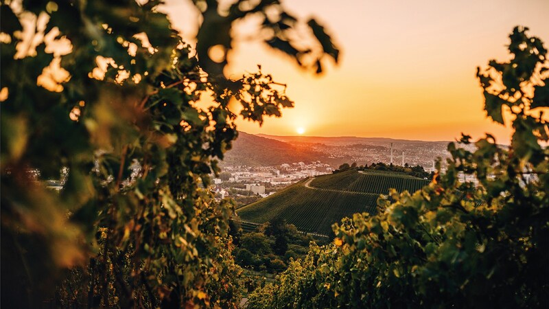 (Bild: sonne-wolken.de-globusliebe.com/Jana Zieseniß)