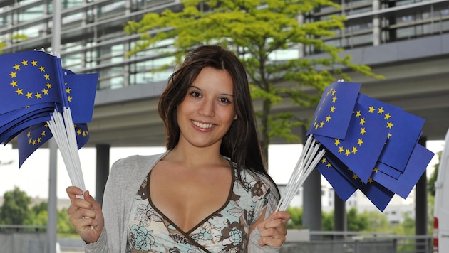 Blau-gelb trifft blau-gelb: Für die heimische Politik ist der EU-Beitritt vor knapp 30 Jahren ...